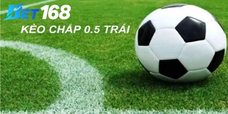 Giải mã kèo 1 2 là gì?