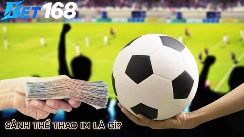 Sơ lược về sảnh IM thể thao